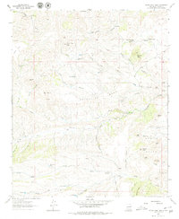 Download a high-resolution, GPS-compatible USGS topo map for Thumb Tank Peak, NM (1980 edition)