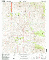 Download a high-resolution, GPS-compatible USGS topo map for Tillie Hall Peak, NM (2000 edition)
