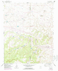 Download a high-resolution, GPS-compatible USGS topo map for Tinian, NM (1989 edition)