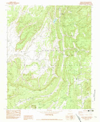 Download a high-resolution, GPS-compatible USGS topo map for Todilto Park, NM (1983 edition)