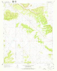 Download a high-resolution, GPS-compatible USGS topo map for Togeye Lake, NM (1979 edition)