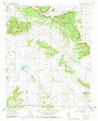 Download a high-resolution, GPS-compatible USGS topo map for Togeye Lake, NM (1982 edition)