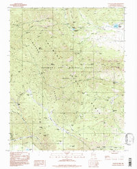 Download a high-resolution, GPS-compatible USGS topo map for Tooth Of Time, NM (1998 edition)