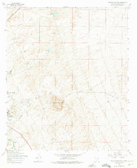 Download a high-resolution, GPS-compatible USGS topo map for Tortugas Mountain, NM (1975 edition)