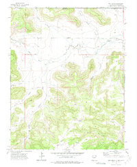 Download a high-resolution, GPS-compatible USGS topo map for Tub Spring, NM (1975 edition)