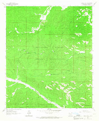Download a high-resolution, GPS-compatible USGS topo map for Turkey Peak, NM (1966 edition)
