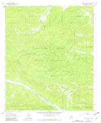 Download a high-resolution, GPS-compatible USGS topo map for Turkey Peak, NM (1982 edition)