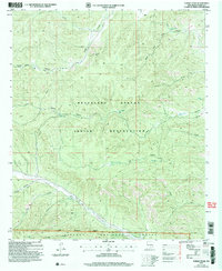 Download a high-resolution, GPS-compatible USGS topo map for Turkey Peak, NM (2006 edition)