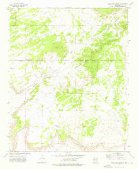 Download a high-resolution, GPS-compatible USGS topo map for Twentytwo Spring, NM (1976 edition)