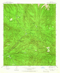 Download a high-resolution, GPS-compatible USGS topo map for Twin Sisters, NM (1966 edition)