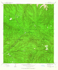 Download a high-resolution, GPS-compatible USGS topo map for Twin Sisters, NM (1963 edition)
