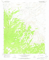 Download a high-resolution, GPS-compatible USGS topo map for Two Grey Hills, NM (1978 edition)