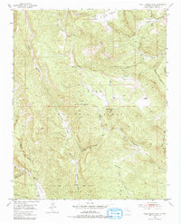 Download a high-resolution, GPS-compatible USGS topo map for Valle Grande Peak, NM (1979 edition)