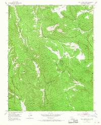 Download a high-resolution, GPS-compatible USGS topo map for Valle Grande Peak, NM (1968 edition)