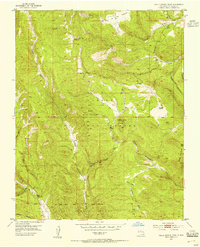 Download a high-resolution, GPS-compatible USGS topo map for Valle Grande Peak, NM (1954 edition)