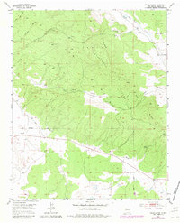 Download a high-resolution, GPS-compatible USGS topo map for Valle Largo, NM (1981 edition)