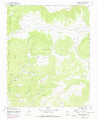 Download a high-resolution, GPS-compatible USGS topo map for Valle San Antonio, NM (1978 edition)