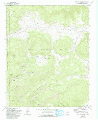 Download a high-resolution, GPS-compatible USGS topo map for Valle San Antonio, NM (1993 edition)