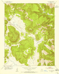 Download a high-resolution, GPS-compatible USGS topo map for Valle Toledo, NM (1954 edition)