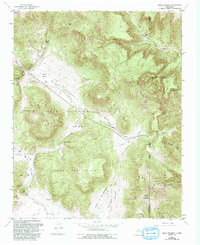 Download a high-resolution, GPS-compatible USGS topo map for Valle Toledo, NM (1993 edition)