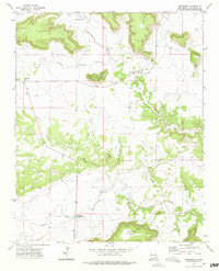 Download a high-resolution, GPS-compatible USGS topo map for Variadero, NM (1975 edition)