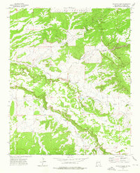 Download a high-resolution, GPS-compatible USGS topo map for Venadito Camp, NM (1976 edition)
