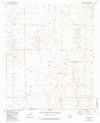 Download a high-resolution, GPS-compatible USGS topo map for Vest Camp, NM (1985 edition)