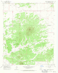 Download a high-resolution, GPS-compatible USGS topo map for Veteado Mountain, NM (1971 edition)