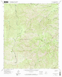 Download a high-resolution, GPS-compatible USGS topo map for Victoria Park, NM (1965 edition)