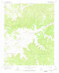 Download a high-resolution, GPS-compatible USGS topo map for Vigas Canyon, NM (1975 edition)