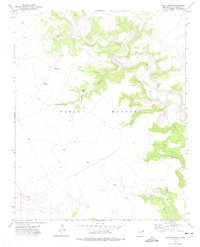 Download a high-resolution, GPS-compatible USGS topo map for Wade Canyon, NM (1975 edition)