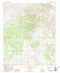 Download a high-resolution, GPS-compatible USGS topo map for Wahalee Canyon, NM (1989 edition)