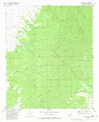 Download a high-resolution, GPS-compatible USGS topo map for Wahoo Peak, NM (1981 edition)