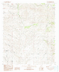 Download a high-resolution, GPS-compatible USGS topo map for Walker Canyon, NM (1991 edition)