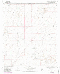 Download a high-resolution, GPS-compatible USGS topo map for Walking Cane Ranch, NM (1985 edition)