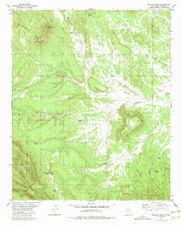 Download a high-resolution, GPS-compatible USGS topo map for Wallace Mesa, NM (1981 edition)