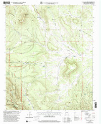 Download a high-resolution, GPS-compatible USGS topo map for Wallace Mesa, NM (2002 edition)
