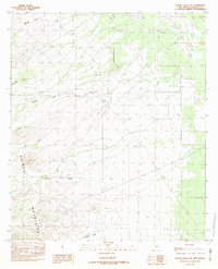 Download a high-resolution, GPS-compatible USGS topo map for Walnut Wells NE, NM (1982 edition)