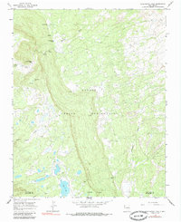 Download a high-resolution, GPS-compatible USGS topo map for Washington Pass, NM (1985 edition)