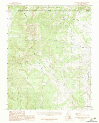 Download a high-resolution, GPS-compatible USGS topo map for West Fork Rio Brazos, NM (1983 edition)