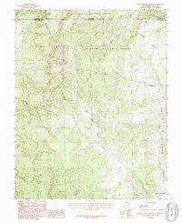 Download a high-resolution, GPS-compatible USGS topo map for West Fork Rio Brazos, NM (1986 edition)