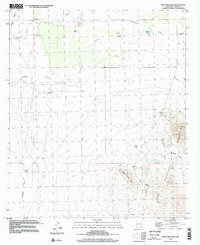 Download a high-resolution, GPS-compatible USGS topo map for West Lime Hills, NM (2002 edition)