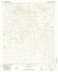 Download a high-resolution, GPS-compatible USGS topo map for White Flat SE, NM (1982 edition)