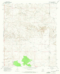 Download a high-resolution, GPS-compatible USGS topo map for White Flat, NM (1971 edition)