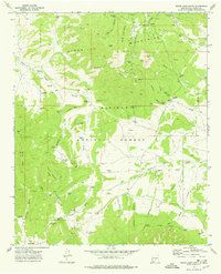 Download a high-resolution, GPS-compatible USGS topo map for White Oaks North, NM (1978 edition)