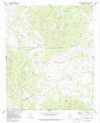 Download a high-resolution, GPS-compatible USGS topo map for White Oaks North, NM (1991 edition)