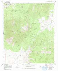 Download a high-resolution, GPS-compatible USGS topo map for White Oaks South, NM (1992 edition)