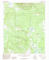 Download a high-resolution, GPS-compatible USGS topo map for White Peak, NM (1987 edition)