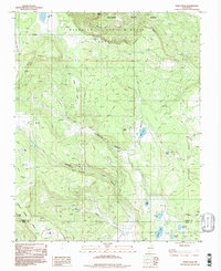 Download a high-resolution, GPS-compatible USGS topo map for White Peak, NM (1998 edition)