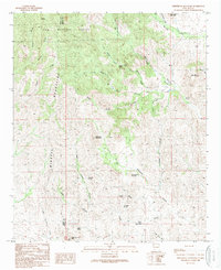 Download a high-resolution, GPS-compatible USGS topo map for White Rock Mountain, NM (1989 edition)
